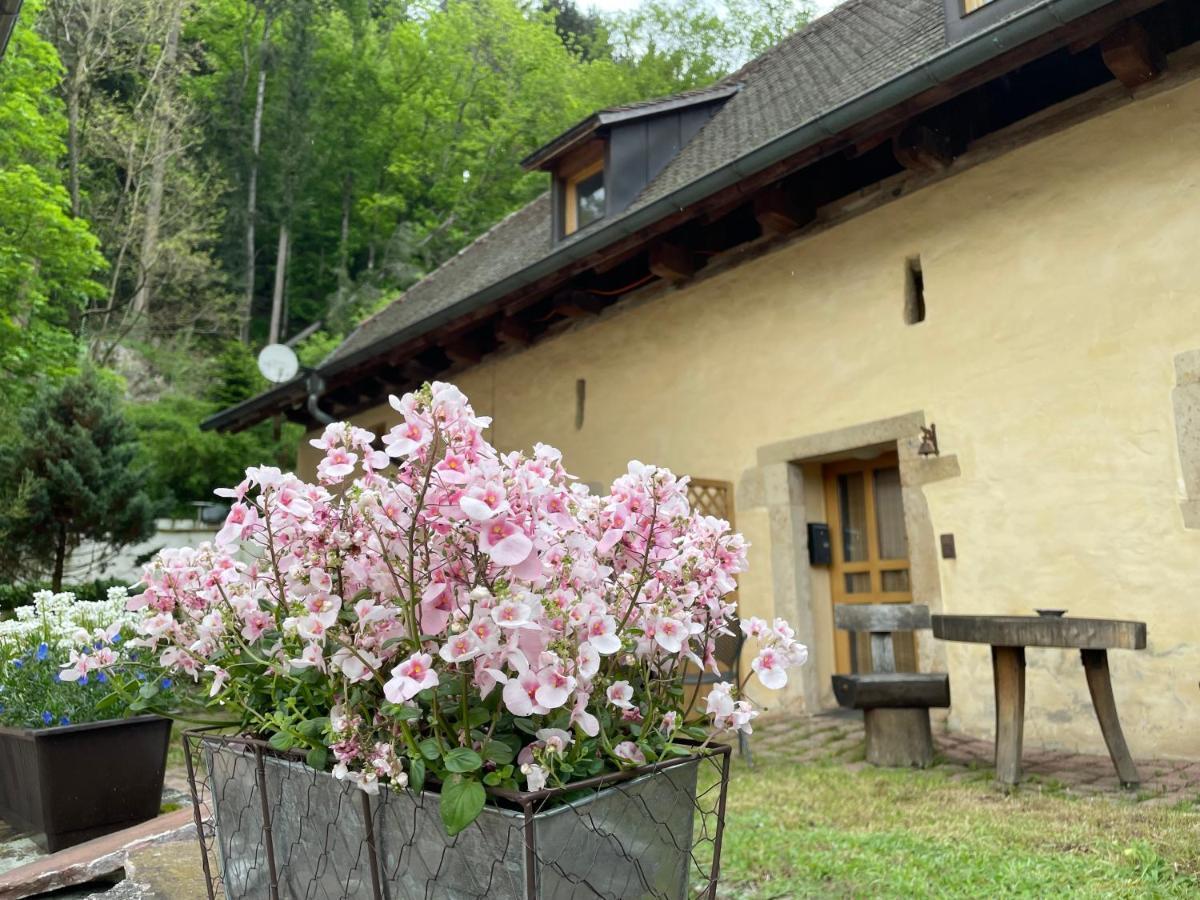 Bed & Breakfast Muellers Klostermuehle Muenstertal Exterior photo